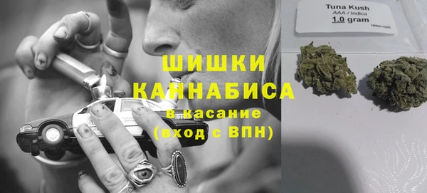 амф Абаза