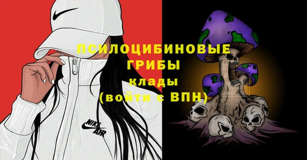 a pvp Абинск